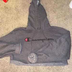 Cropped champion sweater